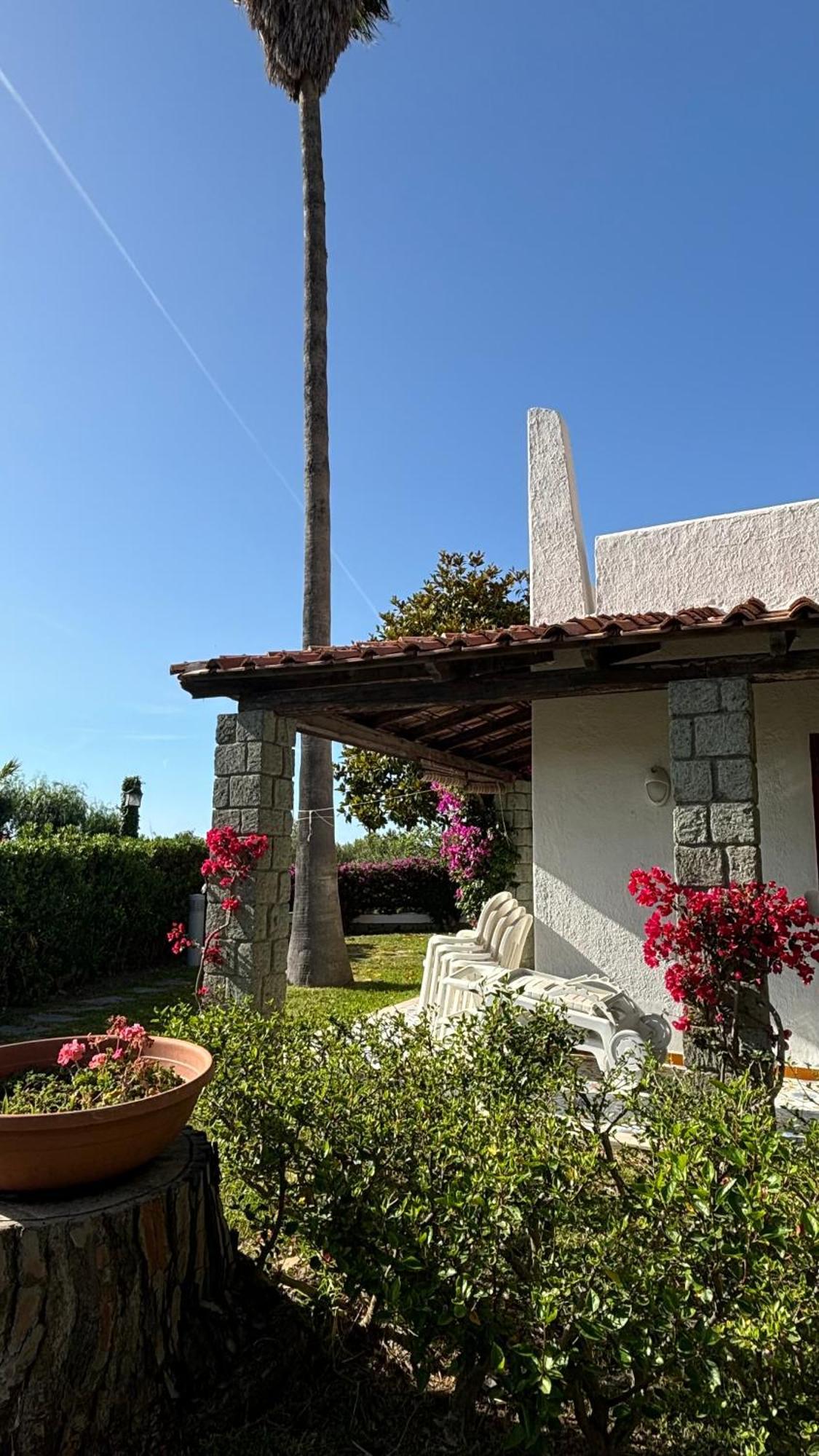 Villa Moma Giardino, Tennis E Piscina Panoramica Искья Экстерьер фото