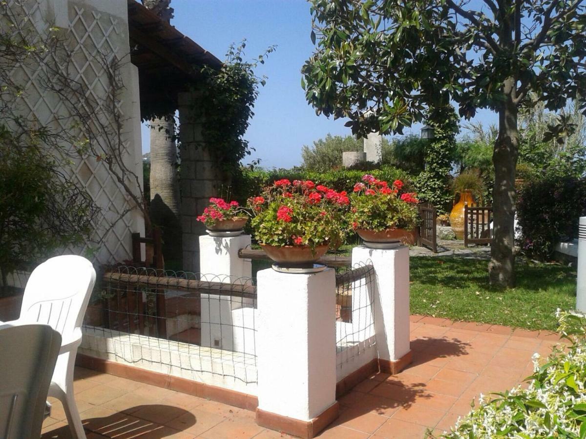 Villa Moma Giardino, Tennis E Piscina Panoramica Искья Экстерьер фото